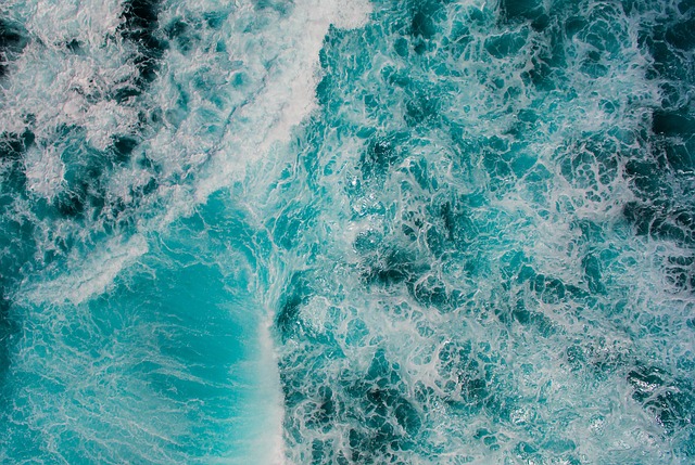 🌊 The Ocean: Earth’s Lungs and the Power of Phytoplankton