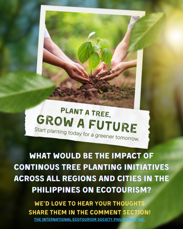 How would ecotourism in the Philippines be affected if all regions and cities implemented continuous tree planting?, Experts Say