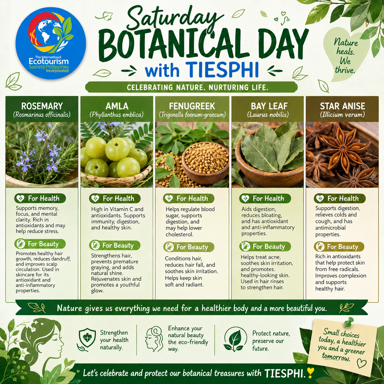 🌿 Exploring Nature’s Remarkable Botanicals: Plants That Support Biodiversity, Culture, and Sustainable Living